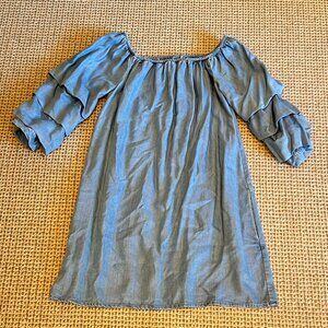 Zara Denim Dress with Puff Sleeves